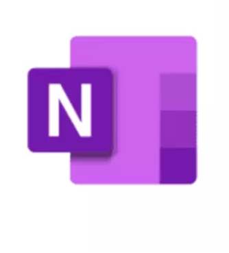 Microsoft OneNote: A cross-functional digital notebook used for free-form note-taking and organization